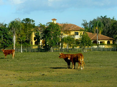 d71a5e_11d7fe2b7b8f4fddba7637bfb1da010d